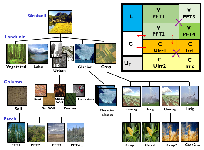CLM gridcell breakdown
